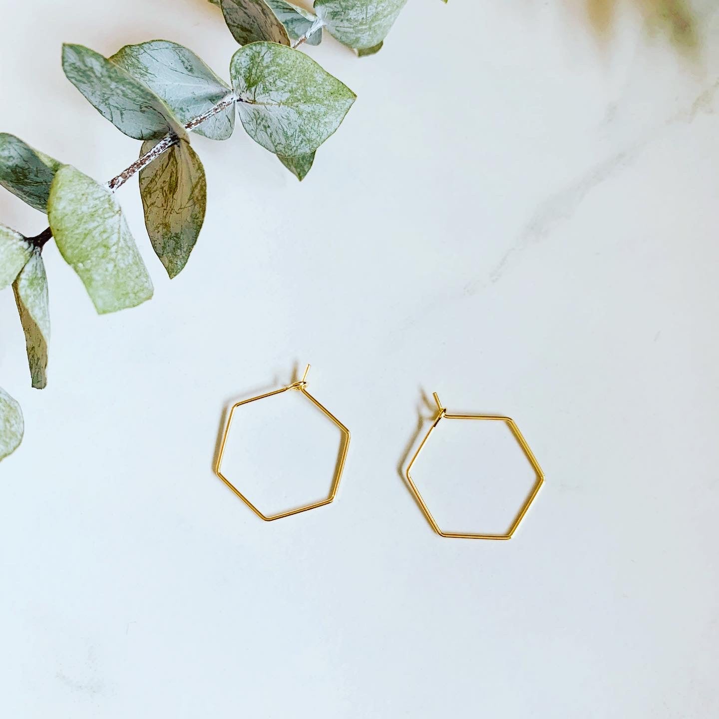 Hexagon hoops on sale