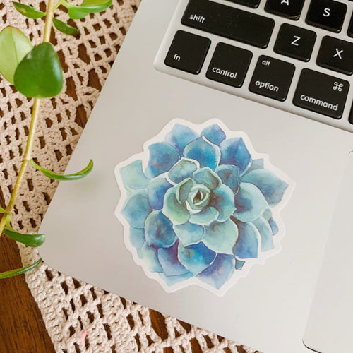 Succulent Sticker